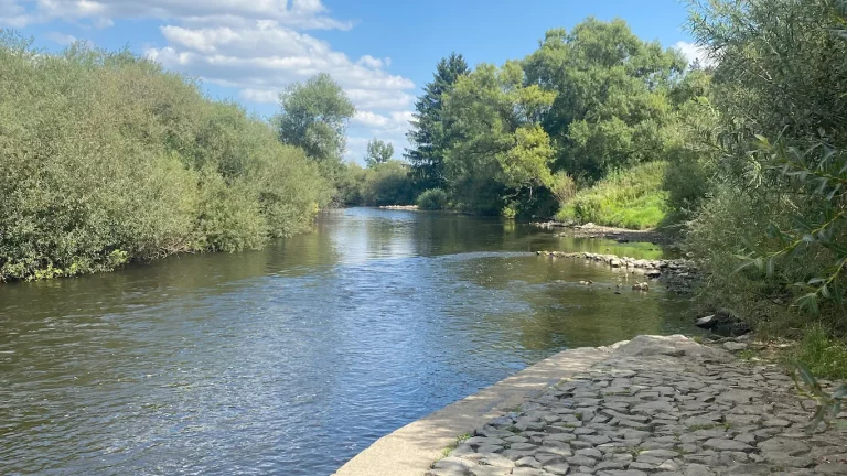 AVMS Sommerfest 2025 Mit dem Kanu auf der Lahn Anlegestelle