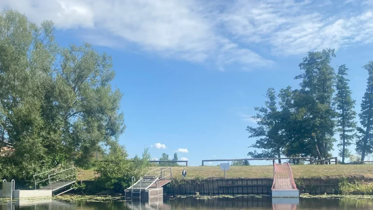 AVMS Sommerfest 2025 Mit dem Kanu auf der Lahn mit Reiher