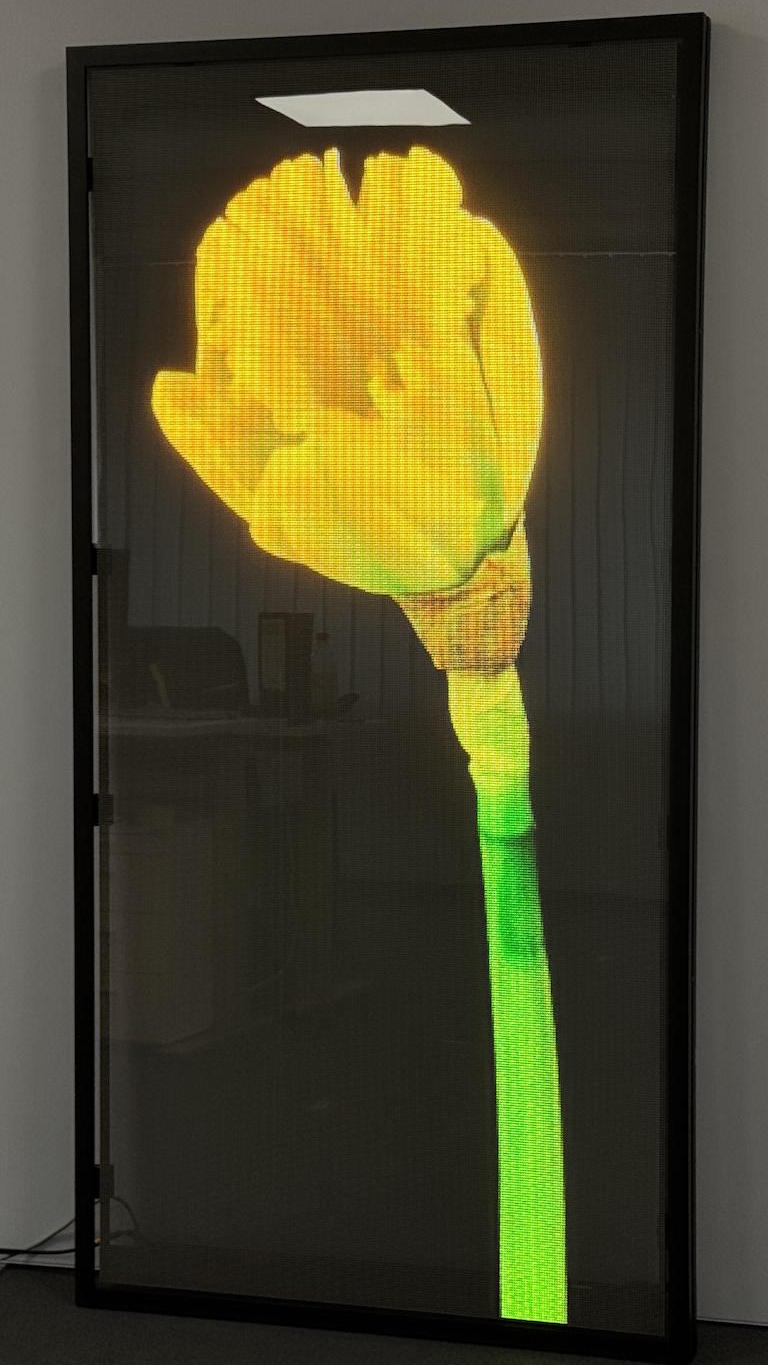 Invisible Screen flower